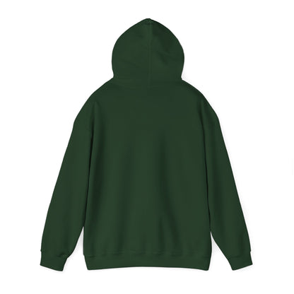 Copy of Versatile Hoodie for Teens and Adults - Unisex Heavy Blend™ Hooded Sweatshirt Voltix.