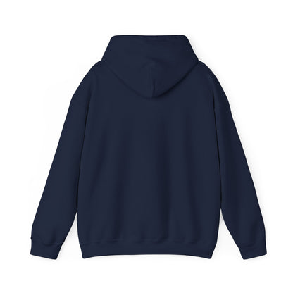 Copy of Versatile Hoodie for Teens and Adults - Unisex Heavy Blend™ Hooded Sweatshirt Voltix.